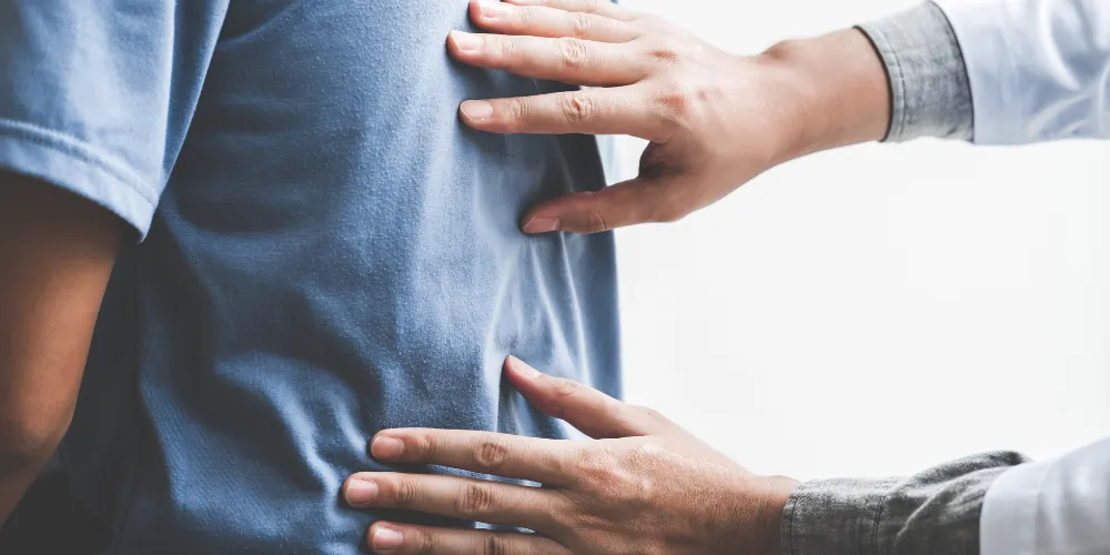 Gonstead Visualization